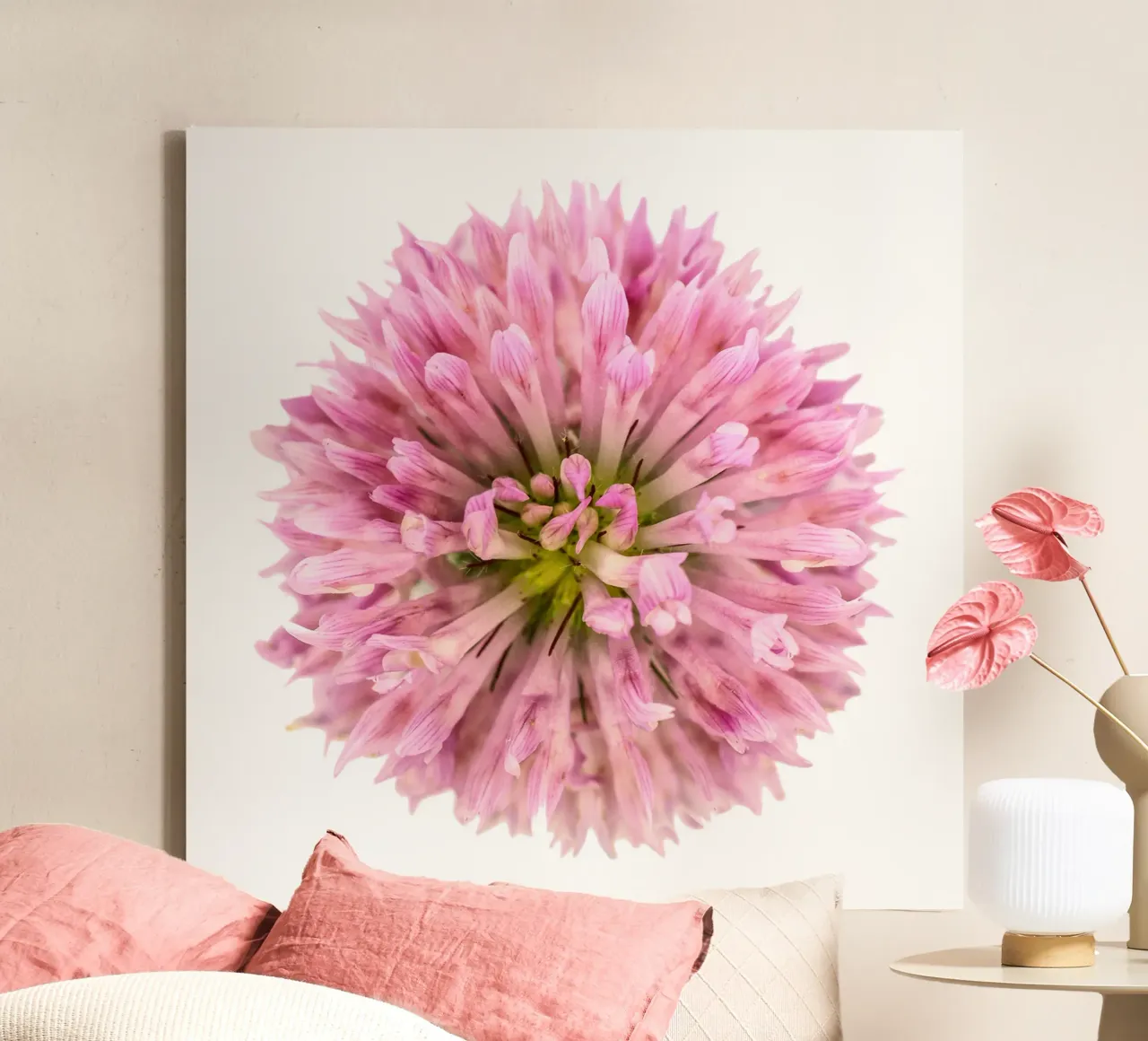 Red Clover Flower canvas with Floater frame by Curious Collections by Marielle Leenders