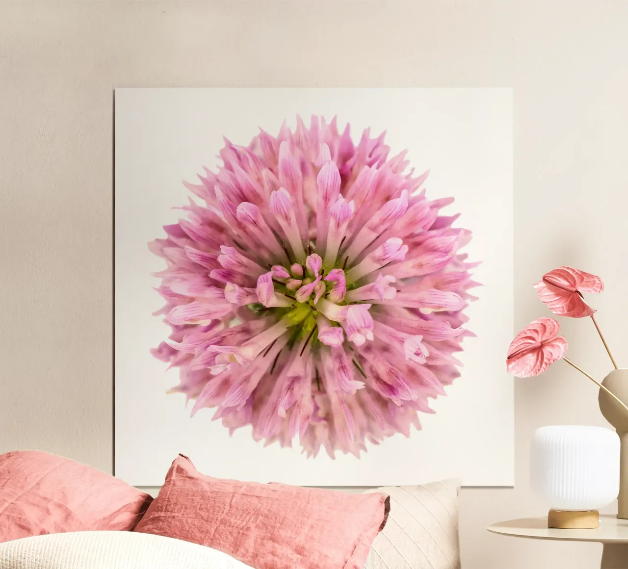 Fiore di trifoglio rosso poster con telaio in legno da Curious Collections by Marielle Leenders