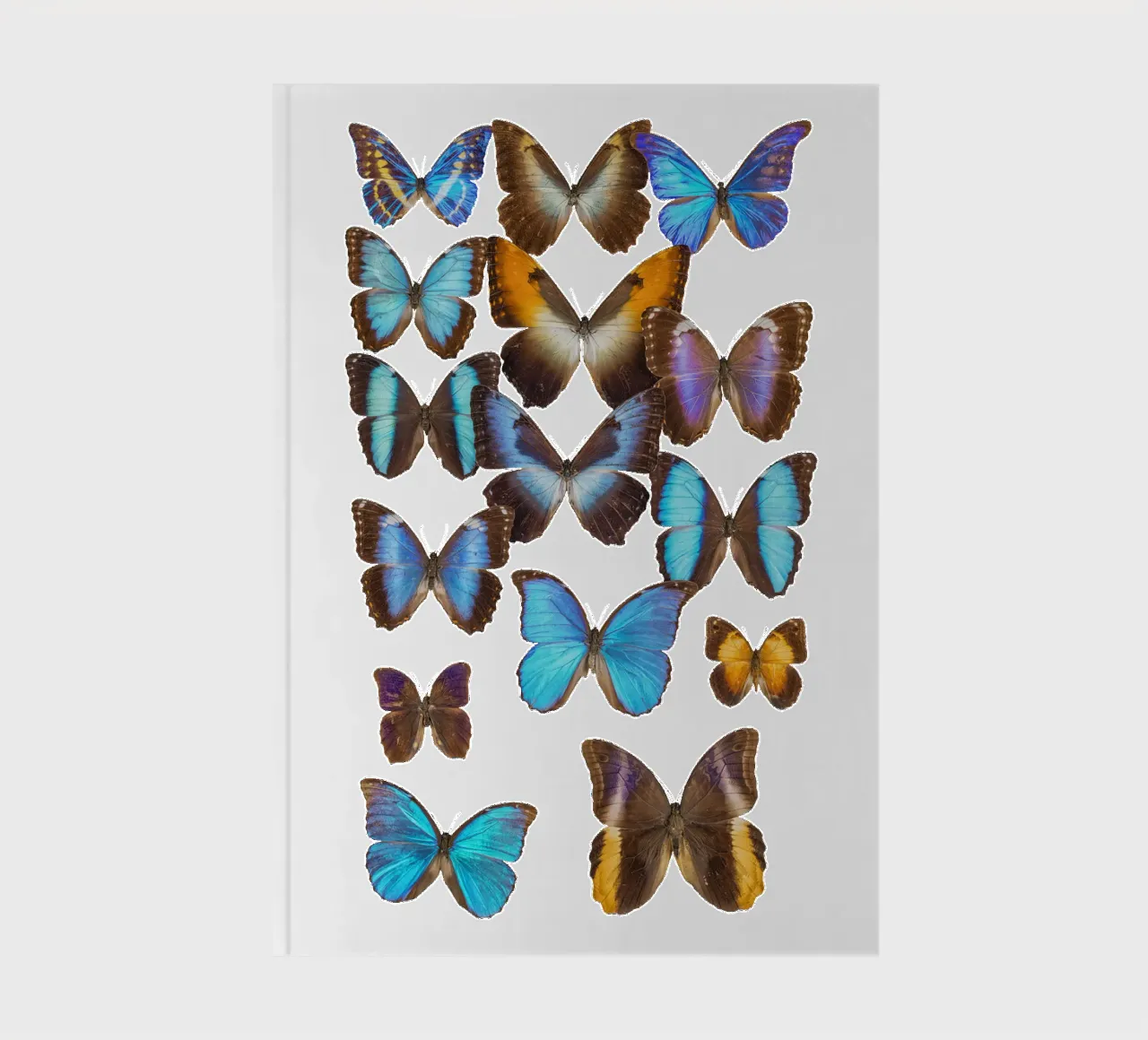 Wings of Tranquility: Exotic Butterflies notebook by Curious Collections by Marielle Leenders