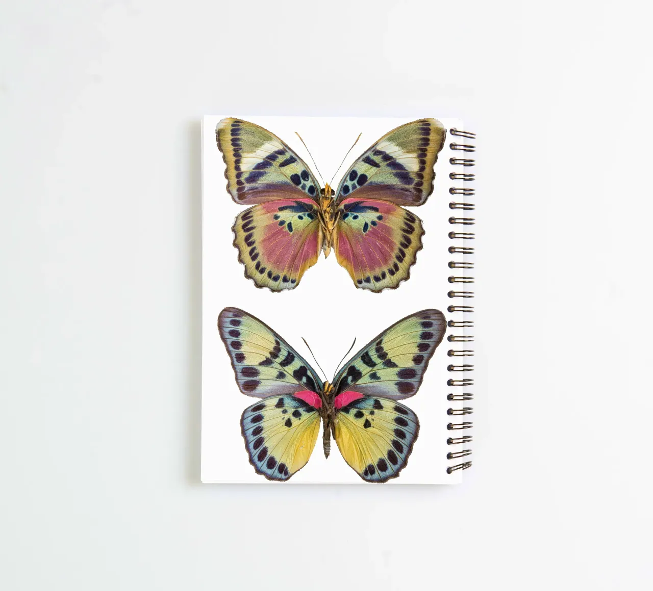 Two Beautiful Butterflies spiral notebook by Curious Collections by Marielle Leenders