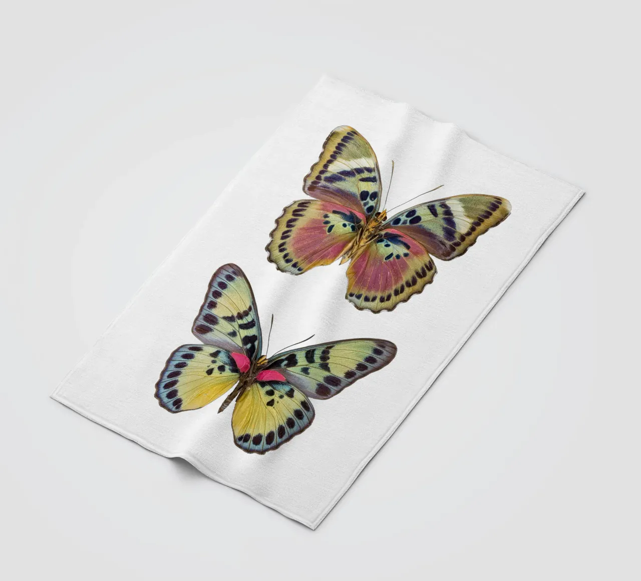 Two Beautiful Butterflies coperta in pile da Curious Collections by Marielle Leenders