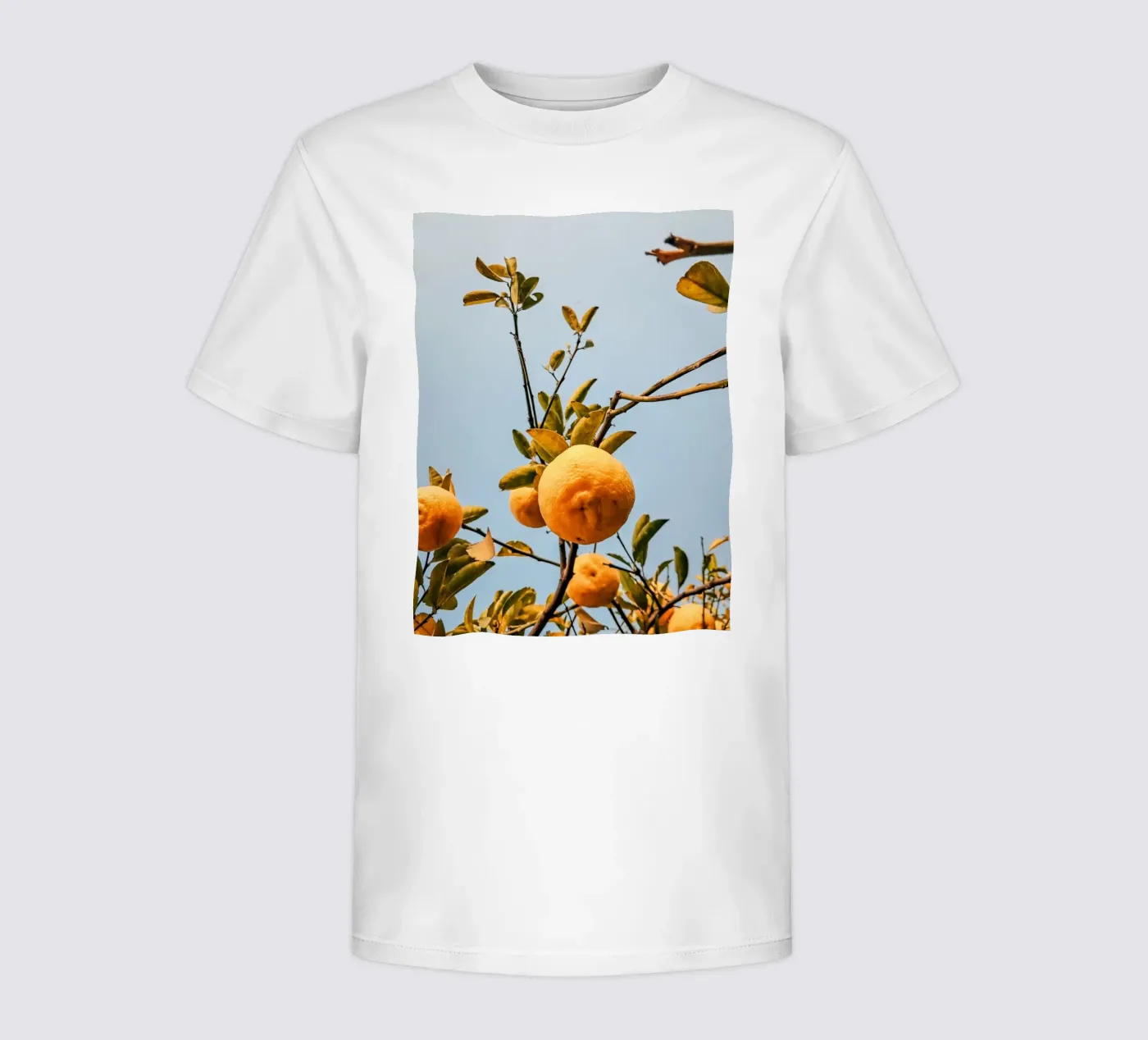 Orange t-shirt bambini da Vale Studio