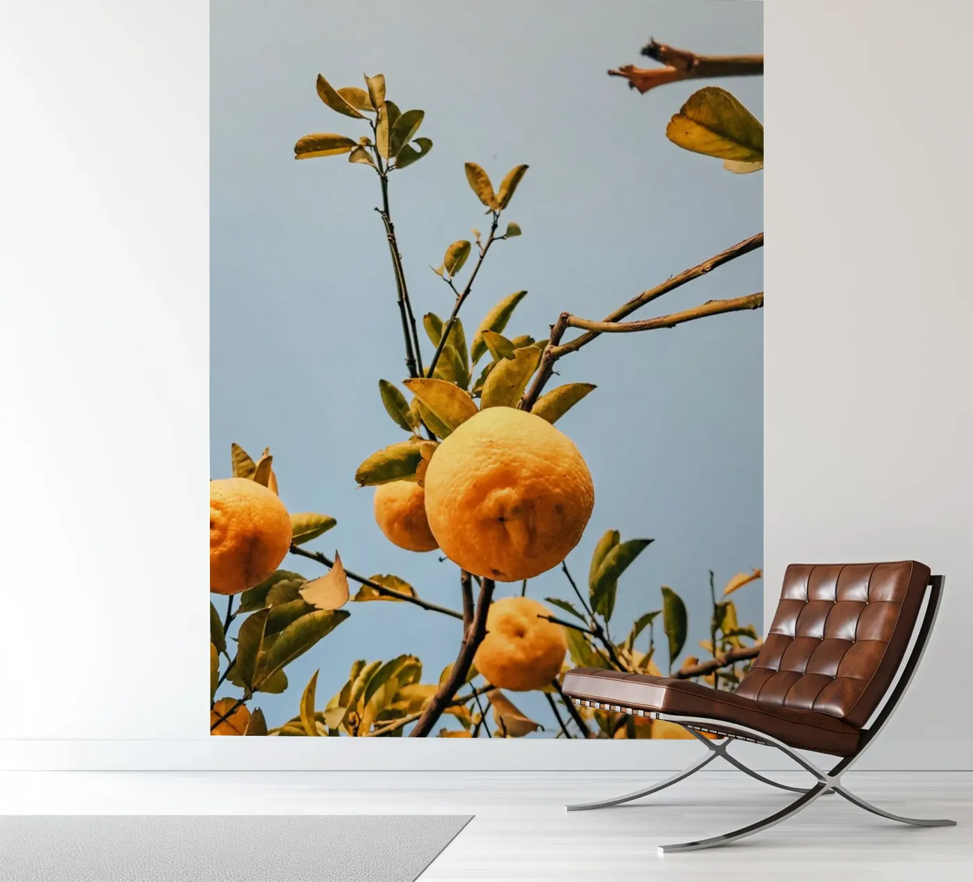 Orange fotobehang van Vale Studio