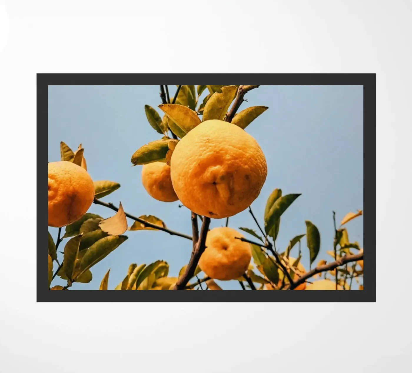 Orange Fußmatte von Vale Studio