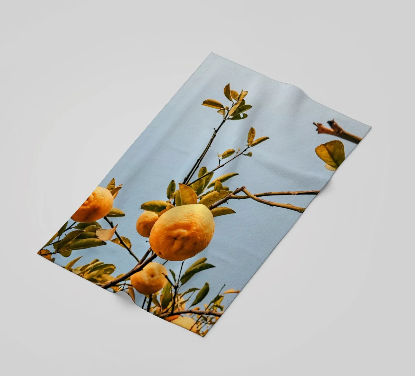 Orange telo mare da Vale Studio