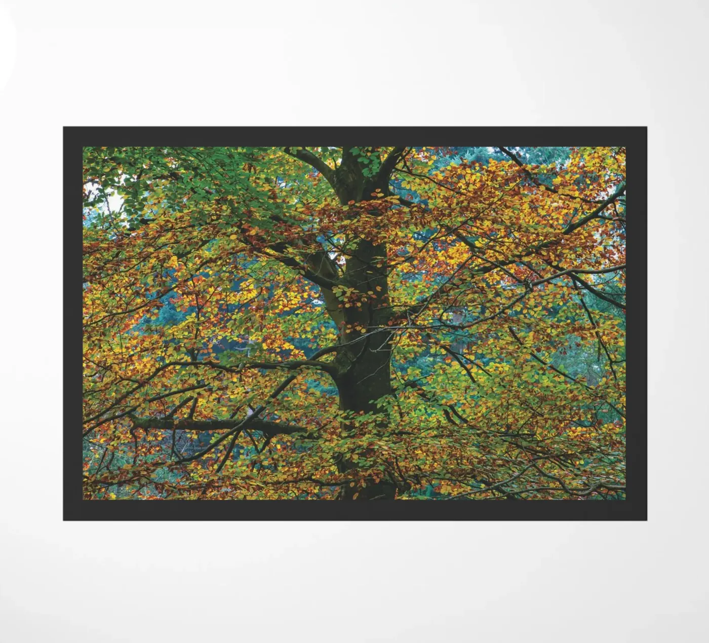 Herfstbos deurmat van Dave Hare Photography