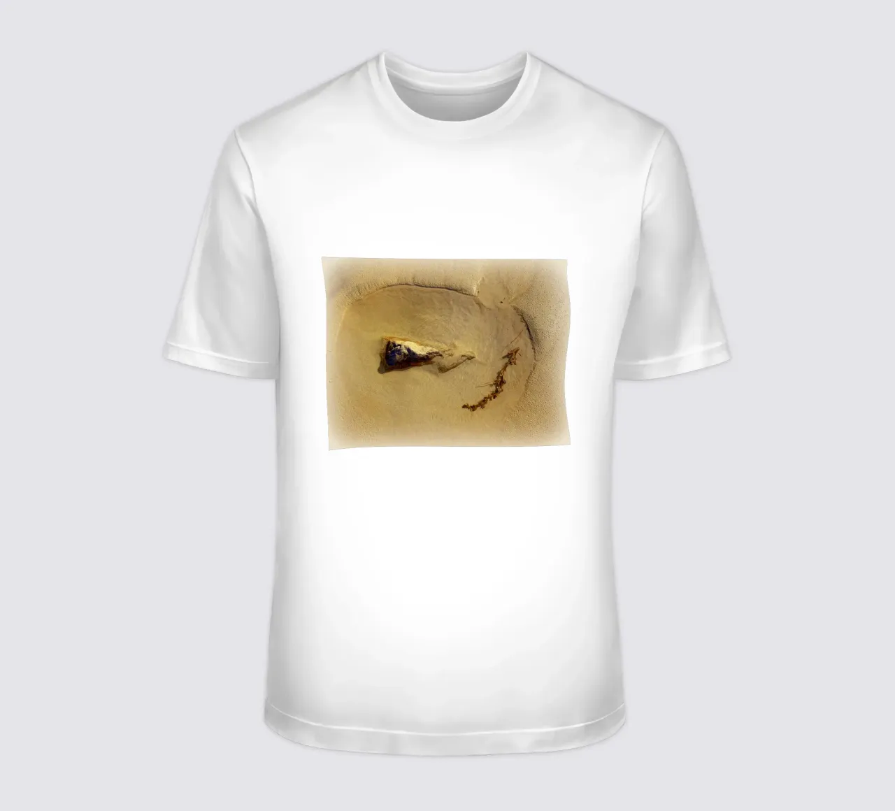 FAA87 t-shirt by Thierry vobmann photography
