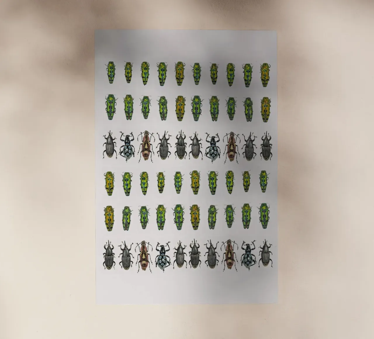 Tiny Wonders: Miniature Insects pellicola backlit da Curious Collections by Marielle Leenders