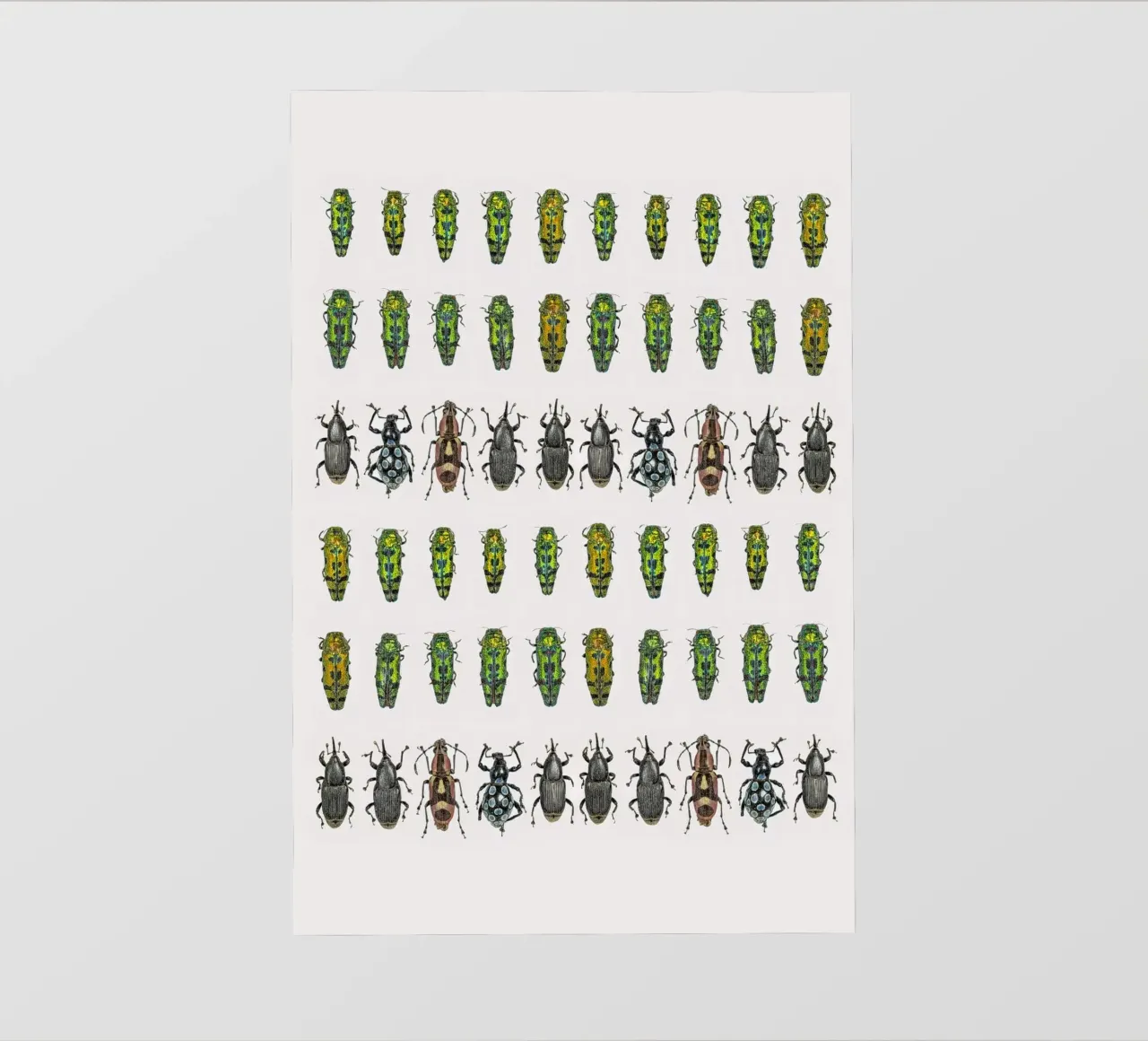 Tiny Wonders: Miniature Insects pellicola backlit da Curious Collections by Marielle Leenders