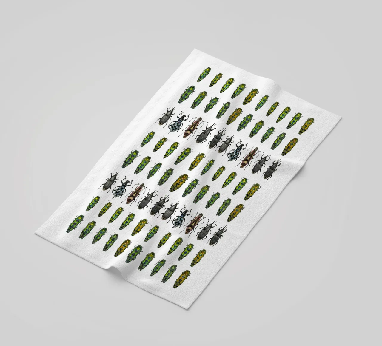 Tiny Wonders: Miniature Insects telo mare da Curious Collections by Marielle Leenders