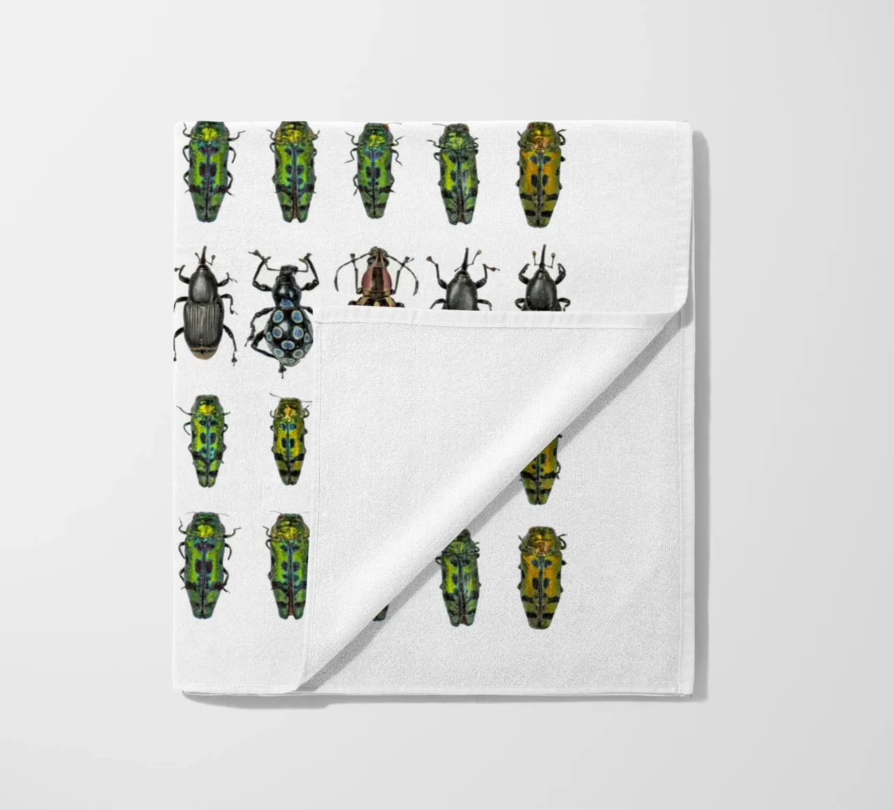 Tiny Wonders: Miniature Insects telo mare da Curious Collections by Marielle Leenders