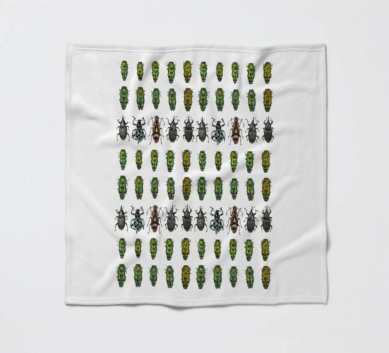 Tiny Wonders: Miniature Insects coperta in pile da Curious Collections by Marielle Leenders