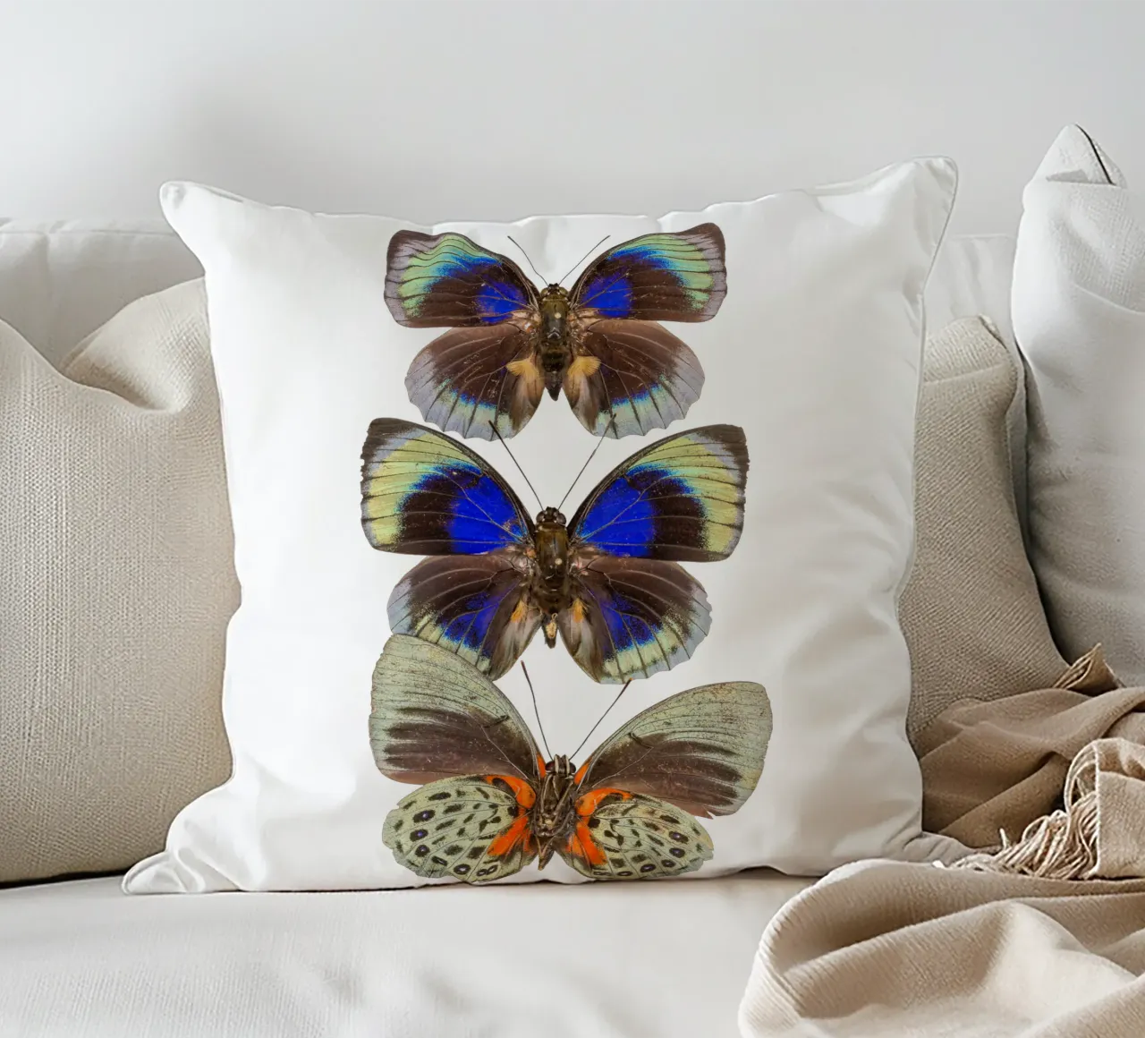Trio colorato di farfalle cuscino da Curious Collections by Marielle Leenders