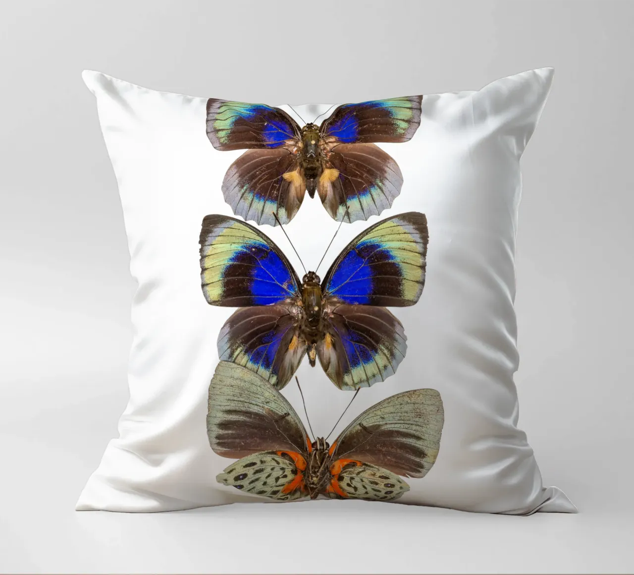 Trio colorato di farfalle cuscino da Curious Collections by Marielle Leenders