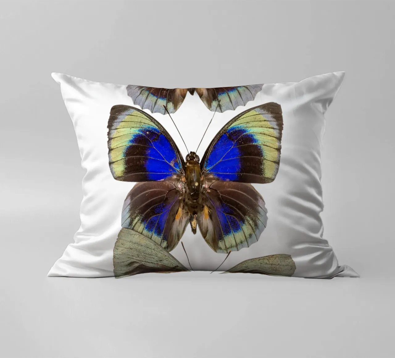 Trio colorato di farfalle cuscino da Curious Collections by Marielle Leenders