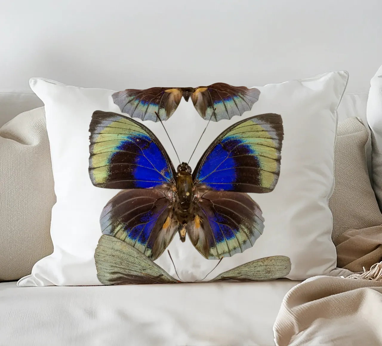 Trio colorato di farfalle cuscino da Curious Collections by Marielle Leenders
