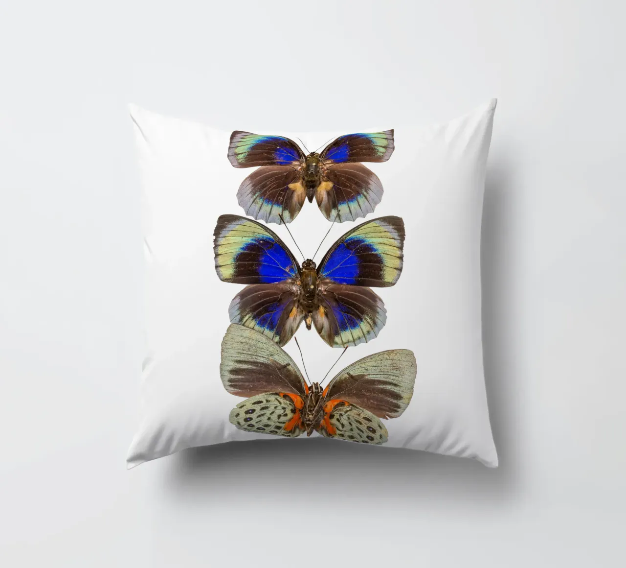 Trio colorato di farfalle cuscino da Curious Collections by Marielle Leenders