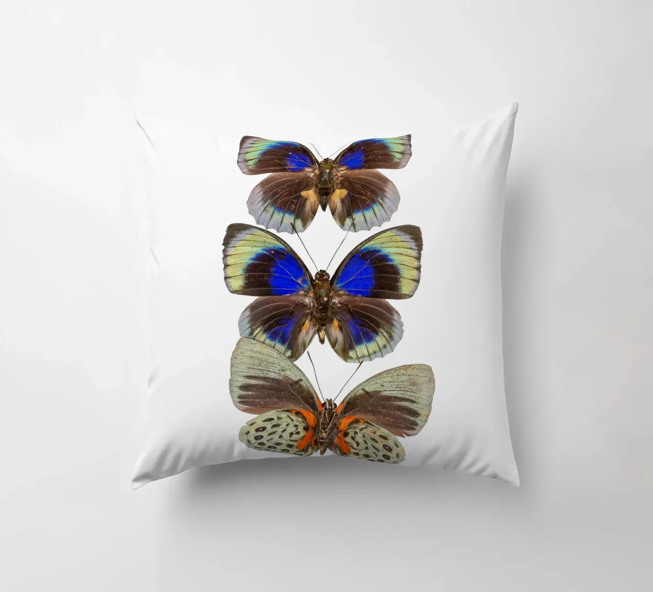Trio colorato di farfalle cuscino da Curious Collections by Marielle Leenders