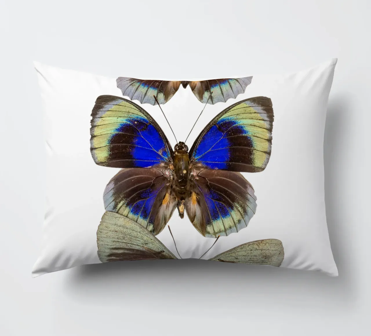 Trio colorato di farfalle cuscino da Curious Collections by Marielle Leenders