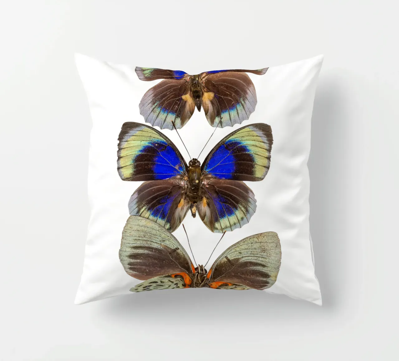 Trio colorato di farfalle cuscino da Curious Collections by Marielle Leenders
