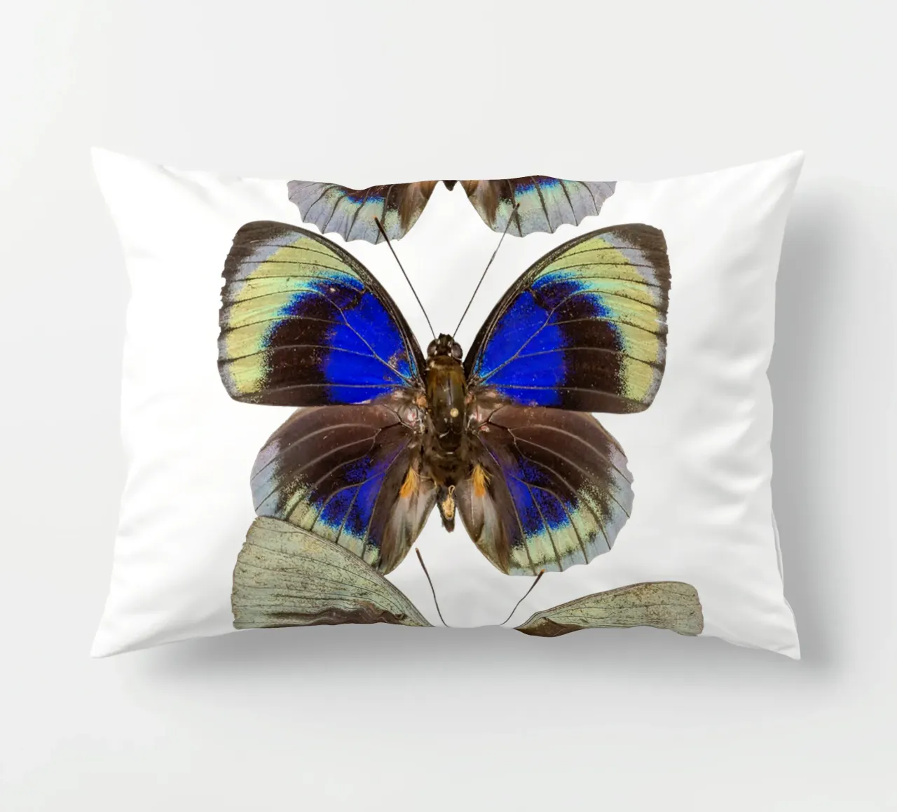 Trio colorato di farfalle cuscino da Curious Collections by Marielle Leenders