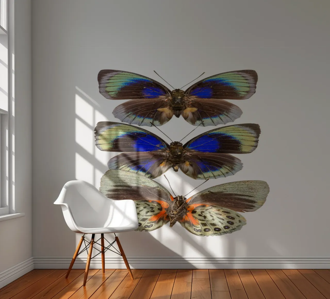 Colorful Trio Butterfly photo wallpaper by Curious Collections by Marielle Leenders