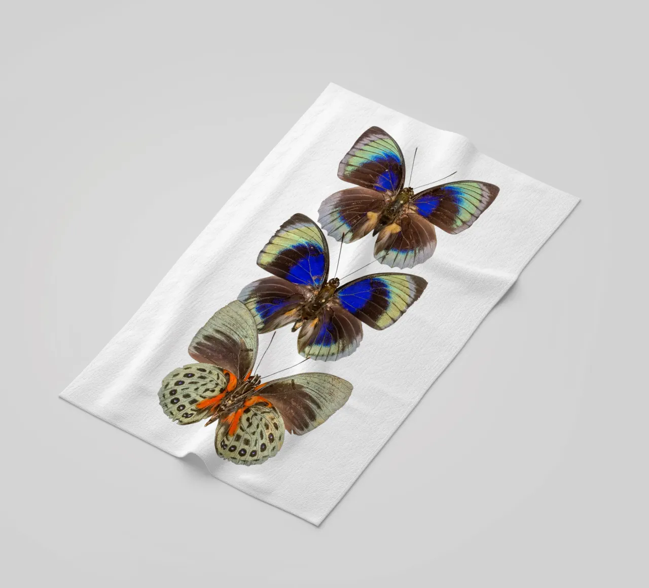 Trio colorato di farfalle telo mare da Curious Collections by Marielle Leenders