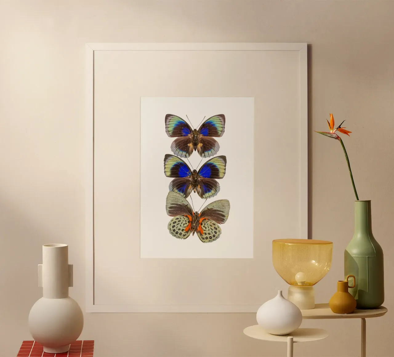 Trio colorato di farfalle poster da Curious Collections by Marielle Leenders