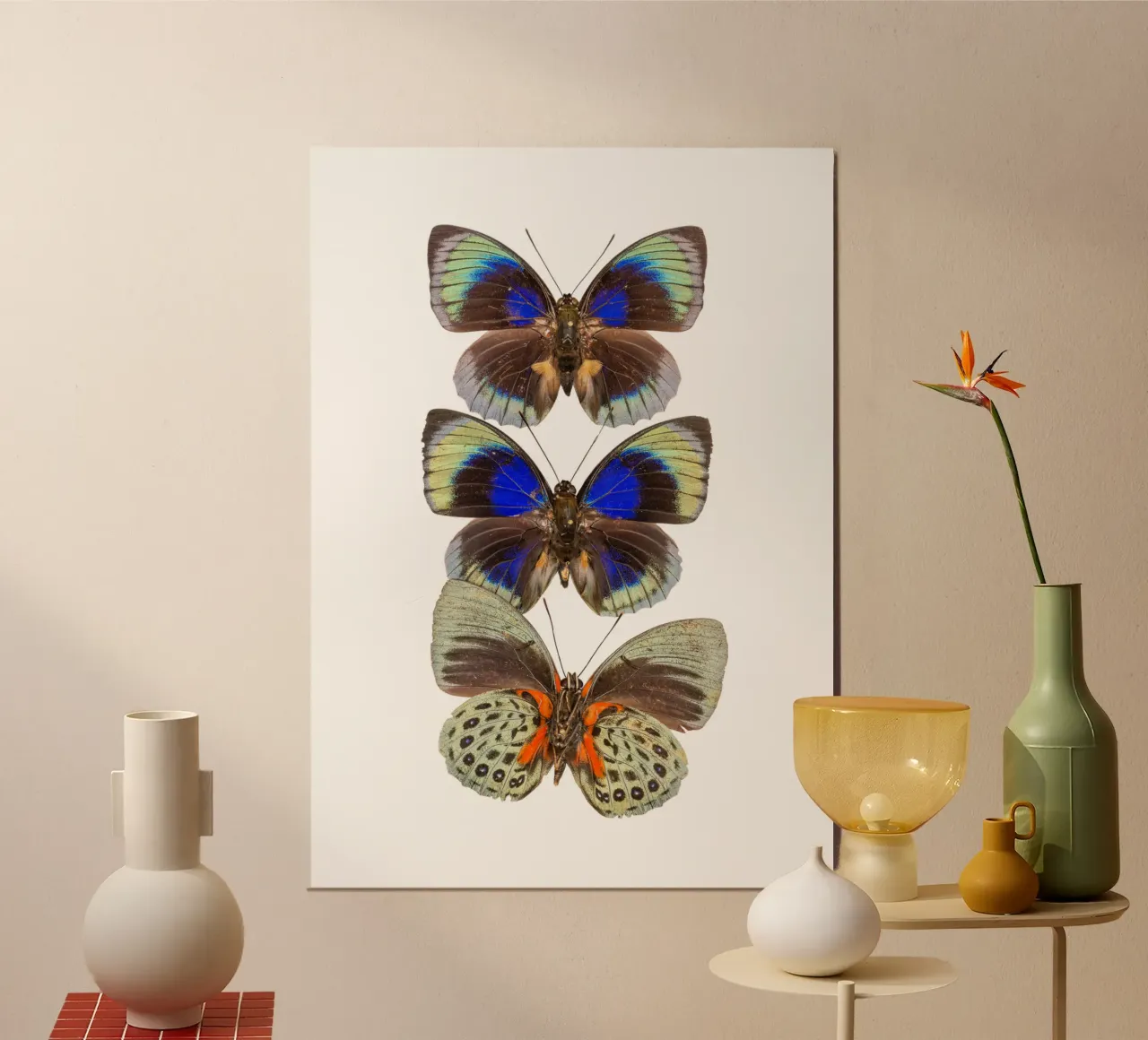 Trio colorato di farfalle poster da Curious Collections by Marielle Leenders