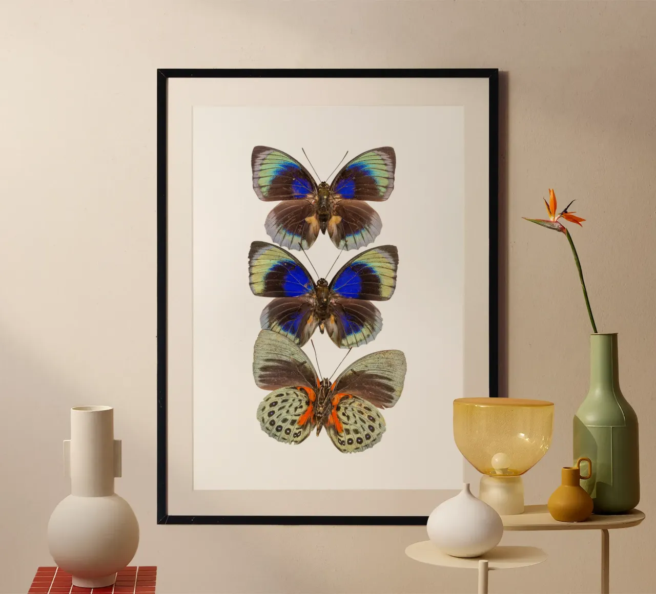 Trio colorato di farfalle poster da Curious Collections by Marielle Leenders