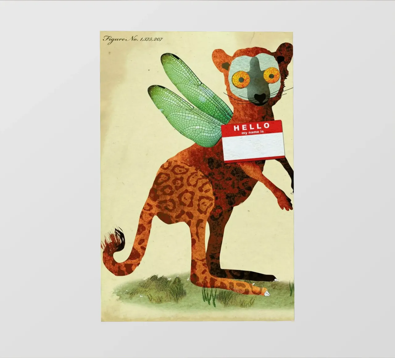 Naming All The Species pellicola backlit da Ellen Weinstein