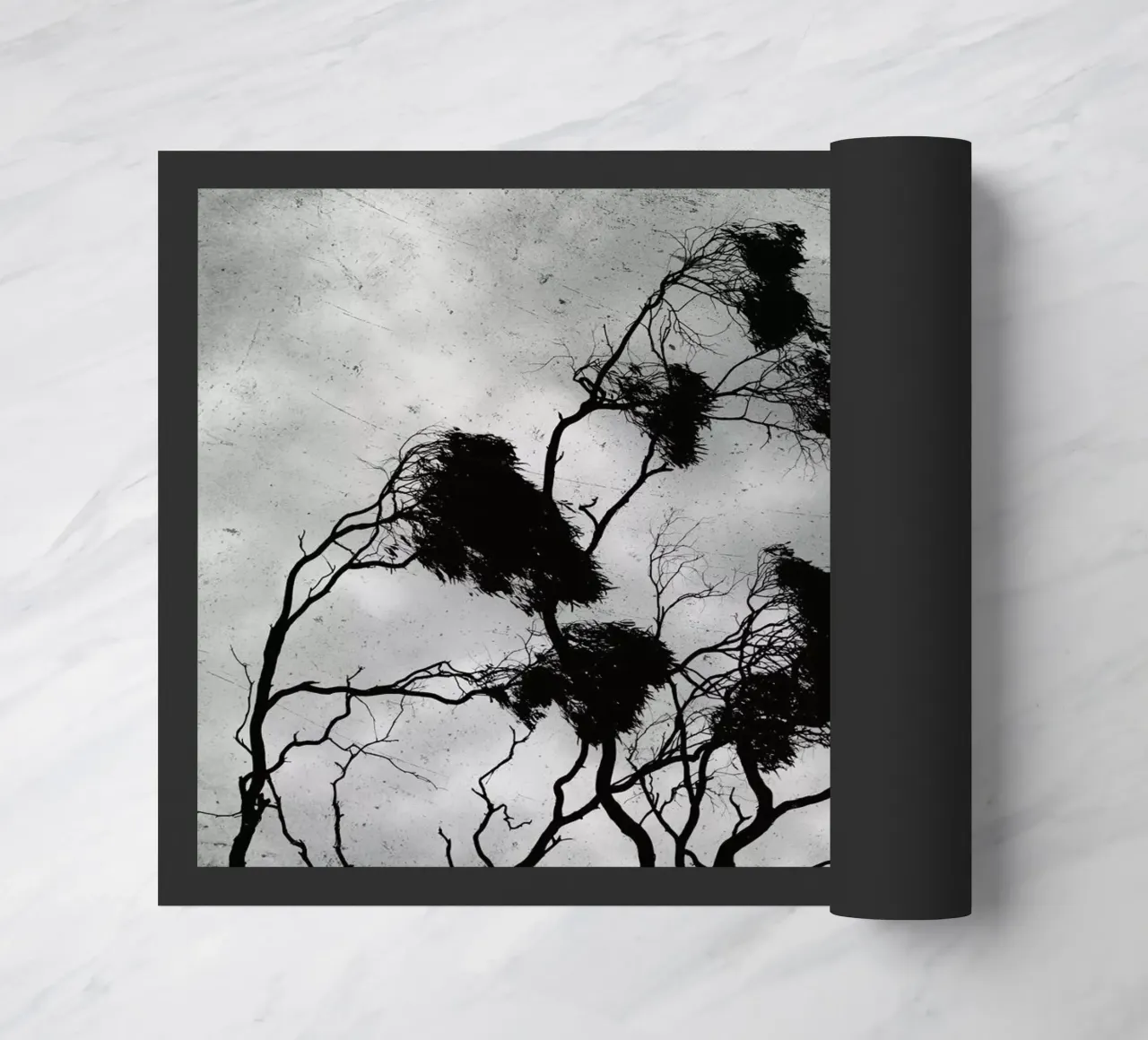 Barossa Goldfields zerbino da Emma Zoe Brew