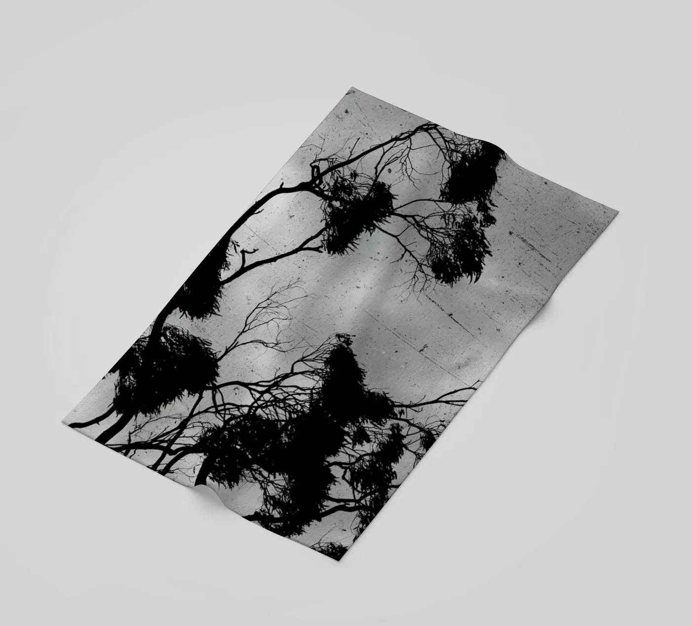 Barossa Goldfields telo mare da Emma Zoe Brew