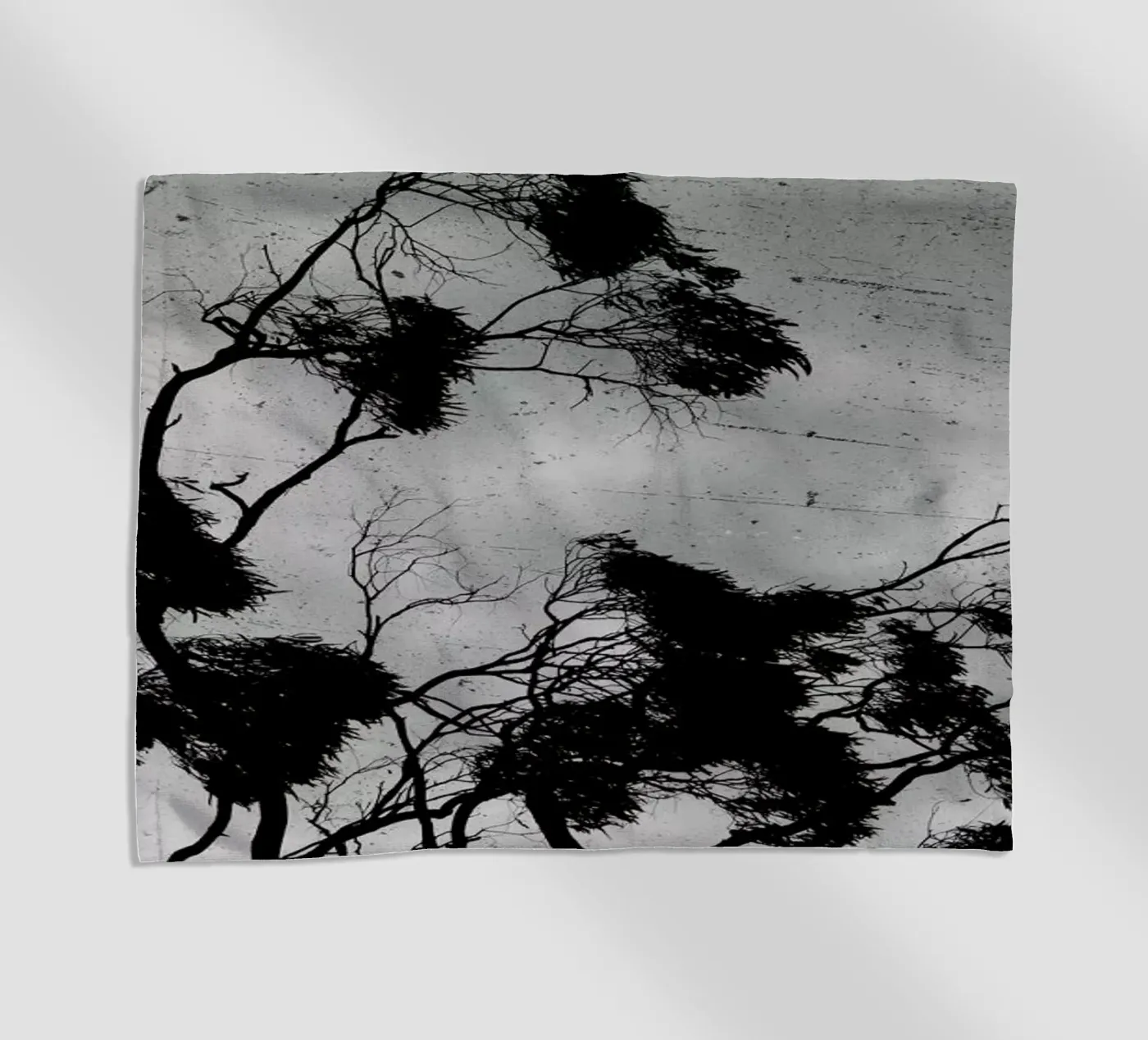 Barossa Goldfields telo mare da Emma Zoe Brew