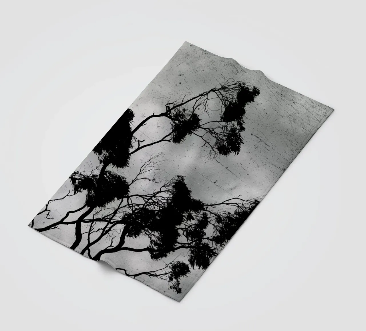 Barossa Goldfields coperta in pile da Emma Zoe Brew