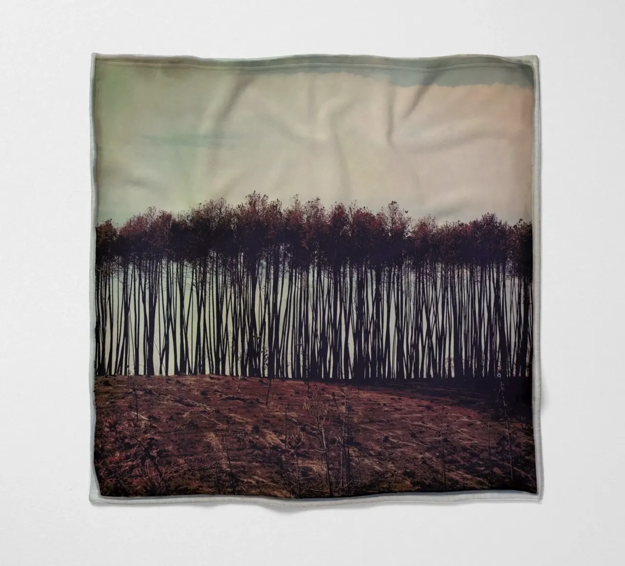 Mt Gawler coperta in pile da Emma Zoe Brew