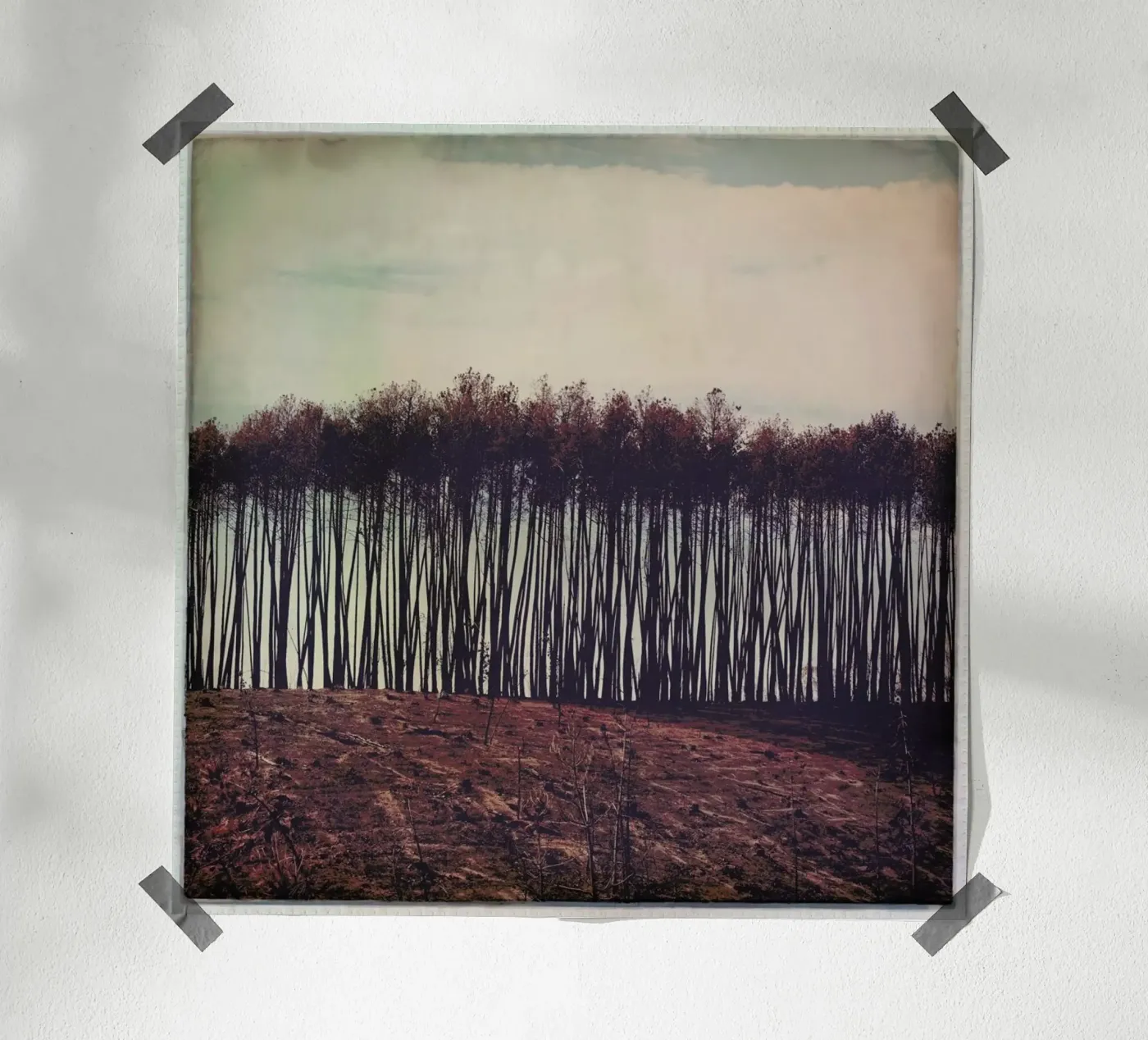 Mt Gawler poster da Emma Zoe Brew