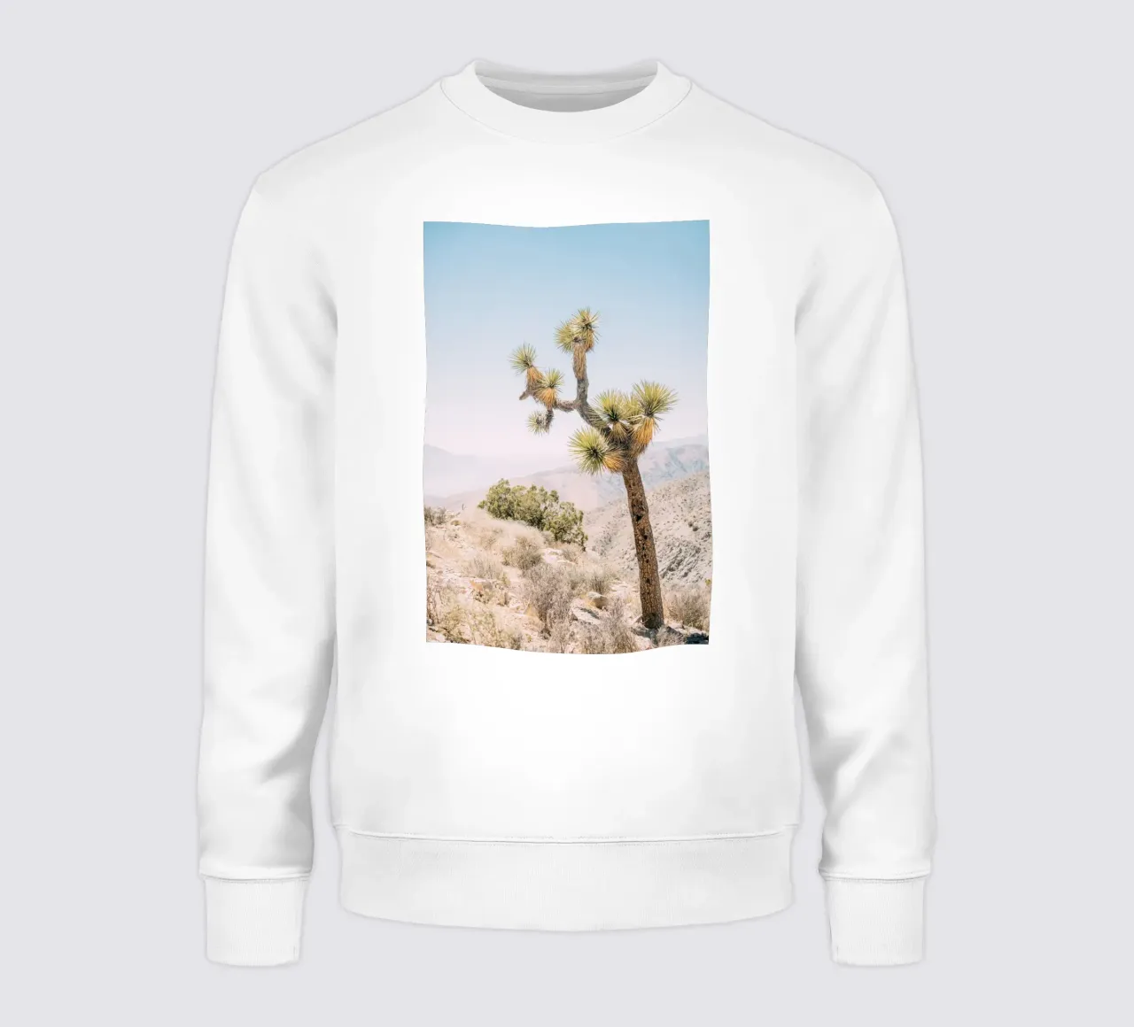 Joshua Tree sweat de patiphotography