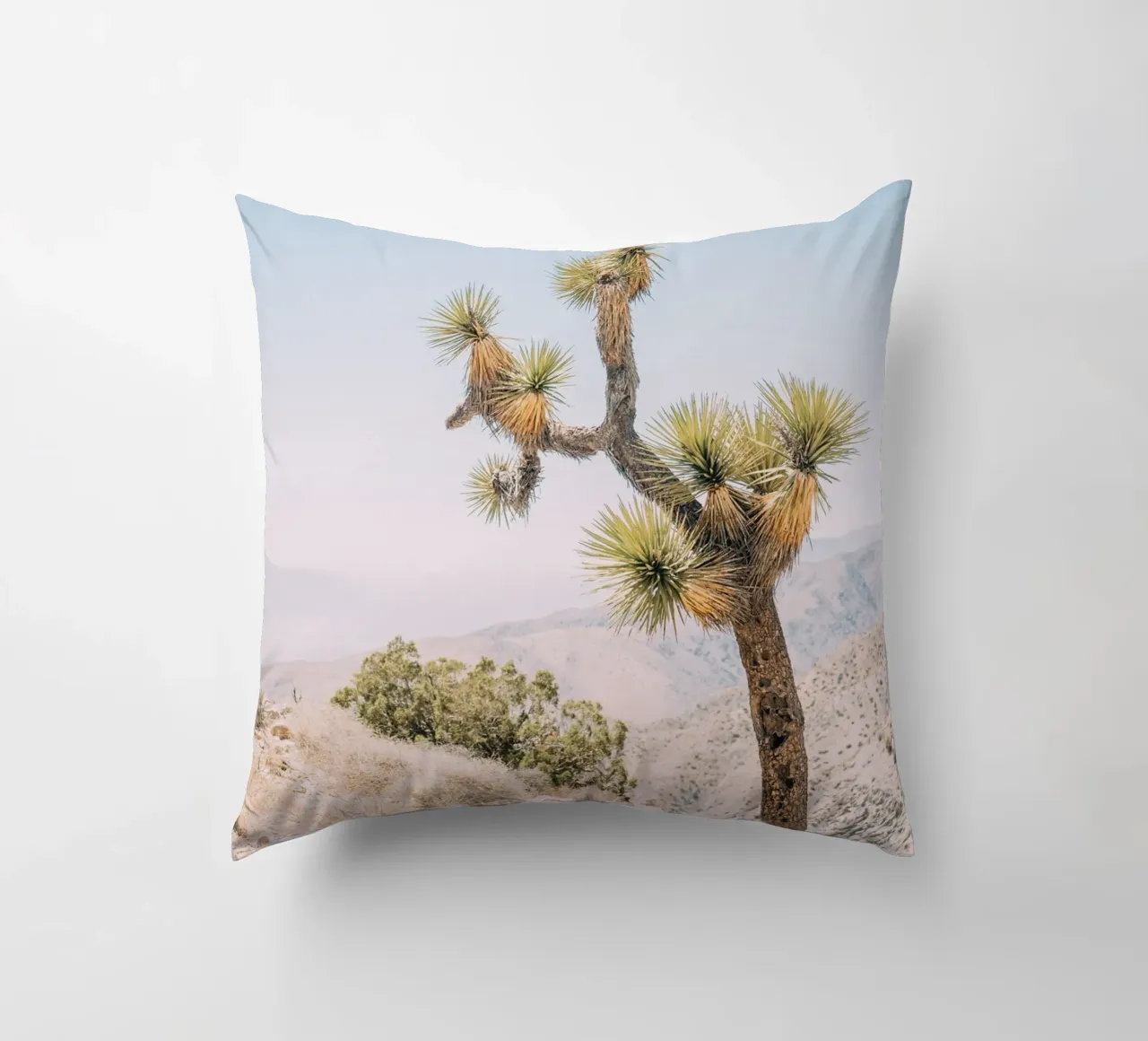 Joshua Tree Kissen von patiphotography