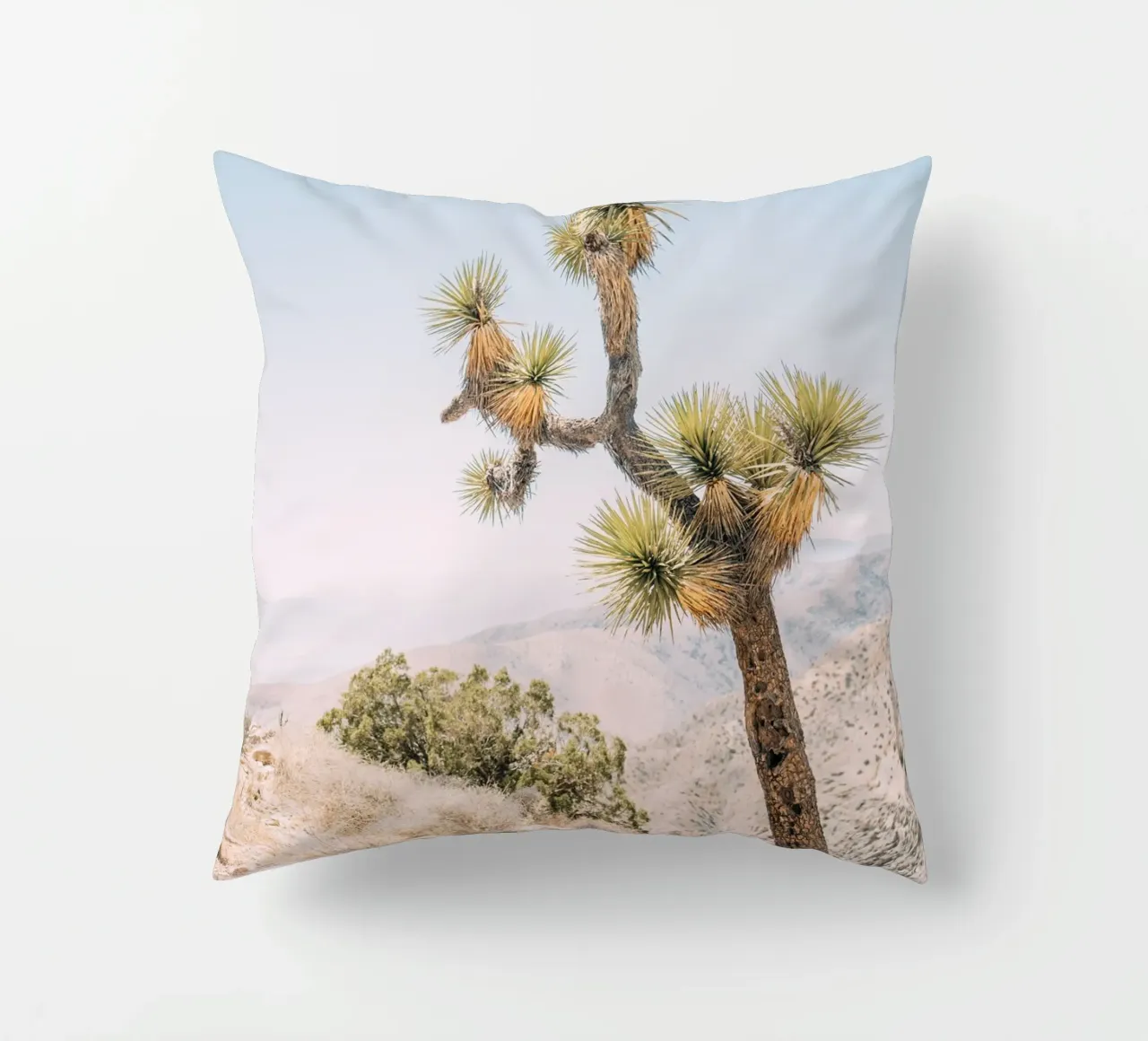 Joshua Tree Kissen von patiphotography