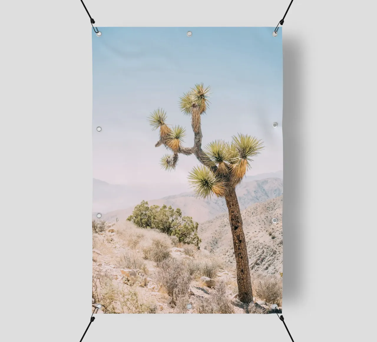 Joshua Tree telo in pvc da patiphotography