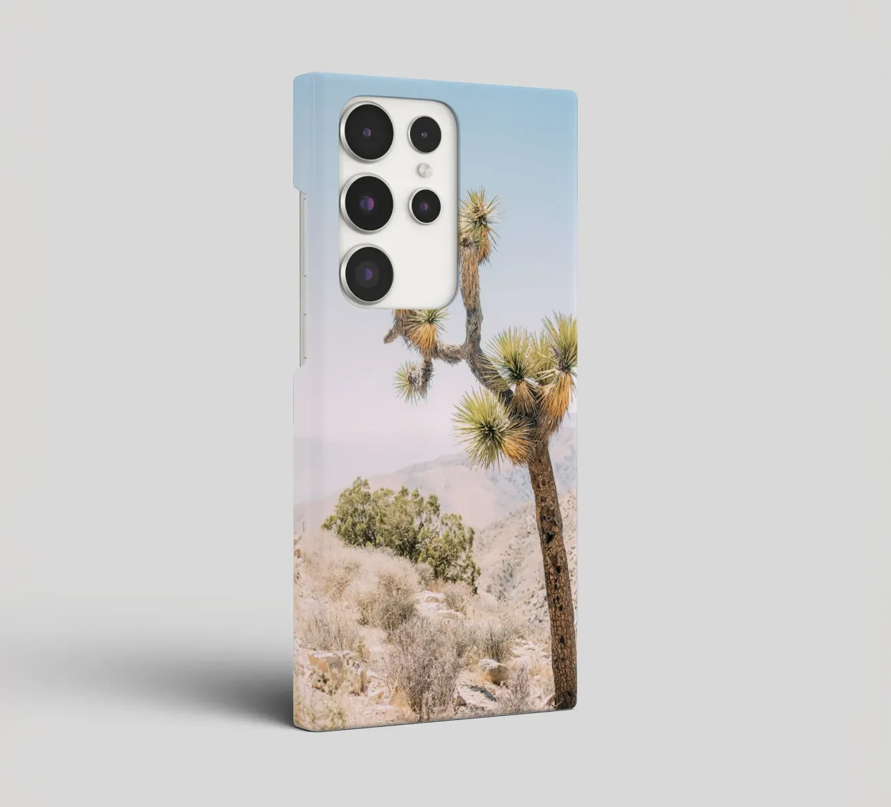 Joshua Tree cover samsung da patiphotography