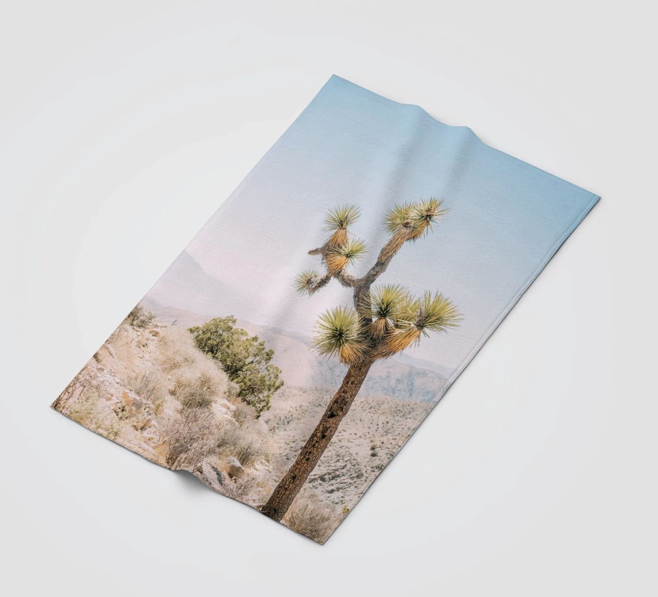 Joshua Tree coperta in pile da patiphotography