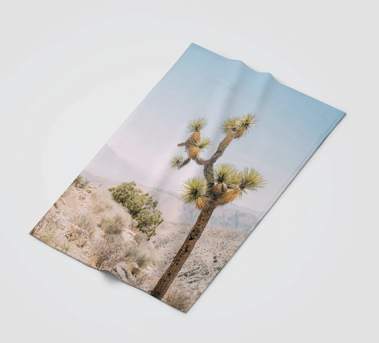Joshua Tree Fleecedecke von patiphotography
