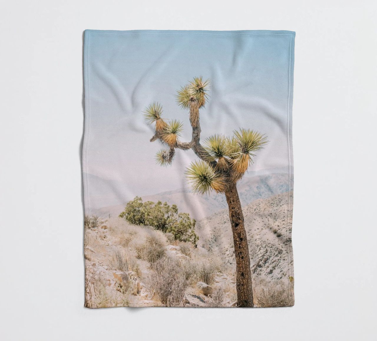 Joshua Tree coperta in pile da patiphotography
