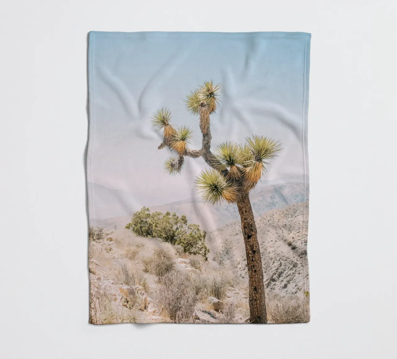 Joshua Tree coperta in pile da patiphotography