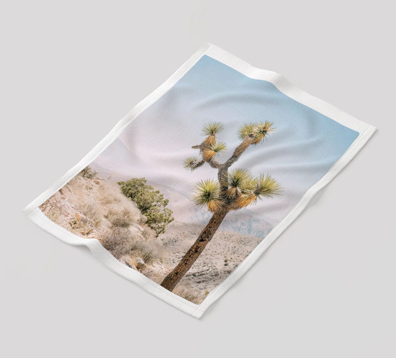 Joshua Tree coperta in pile da patiphotography