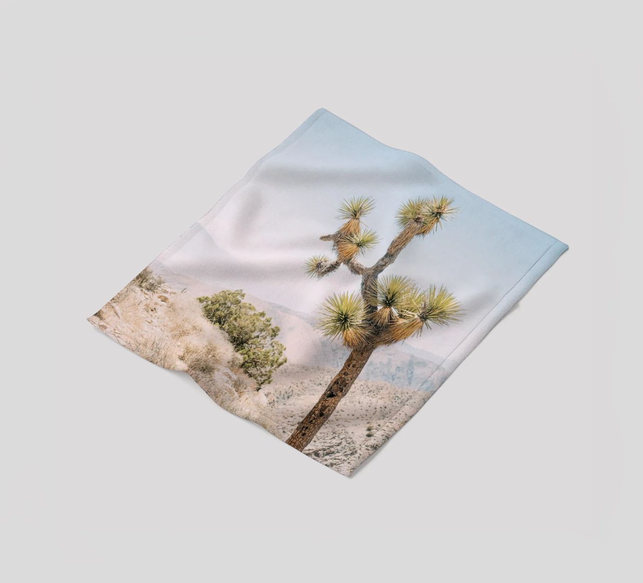 Joshua Tree coperta in pile da patiphotography