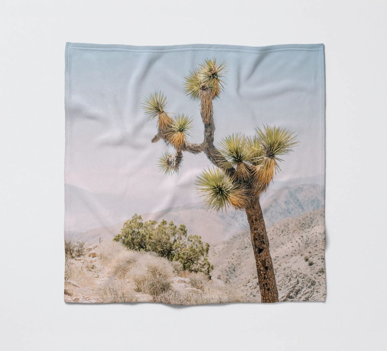 Joshua Tree coperta in pile da patiphotography