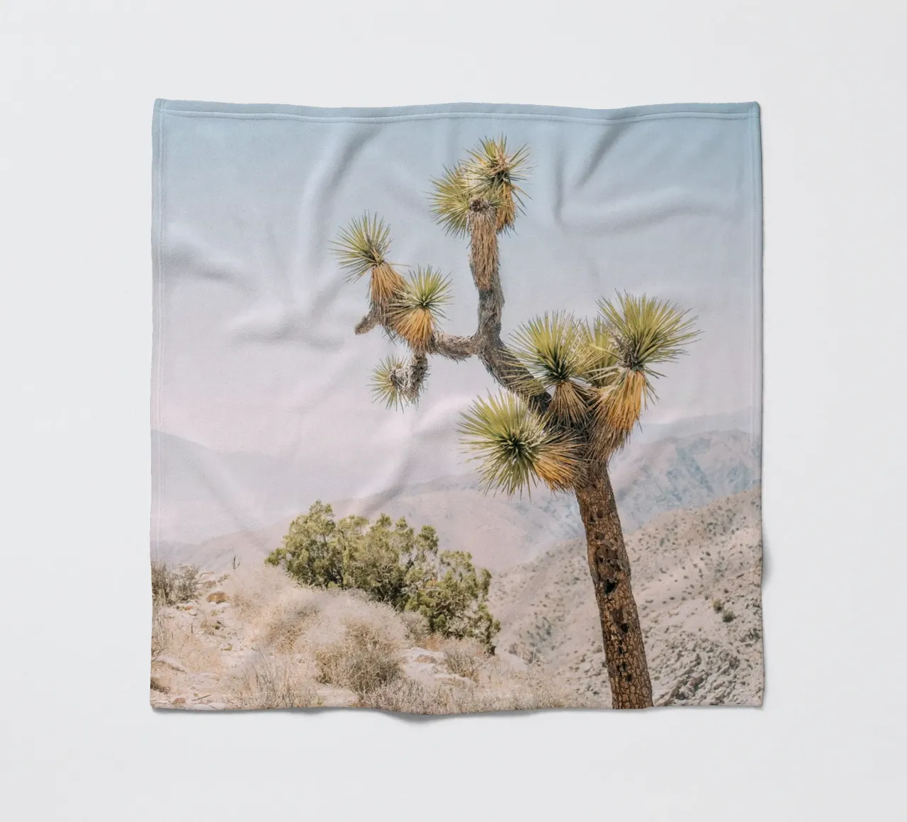 Joshua Tree Fleecedecke von patiphotography